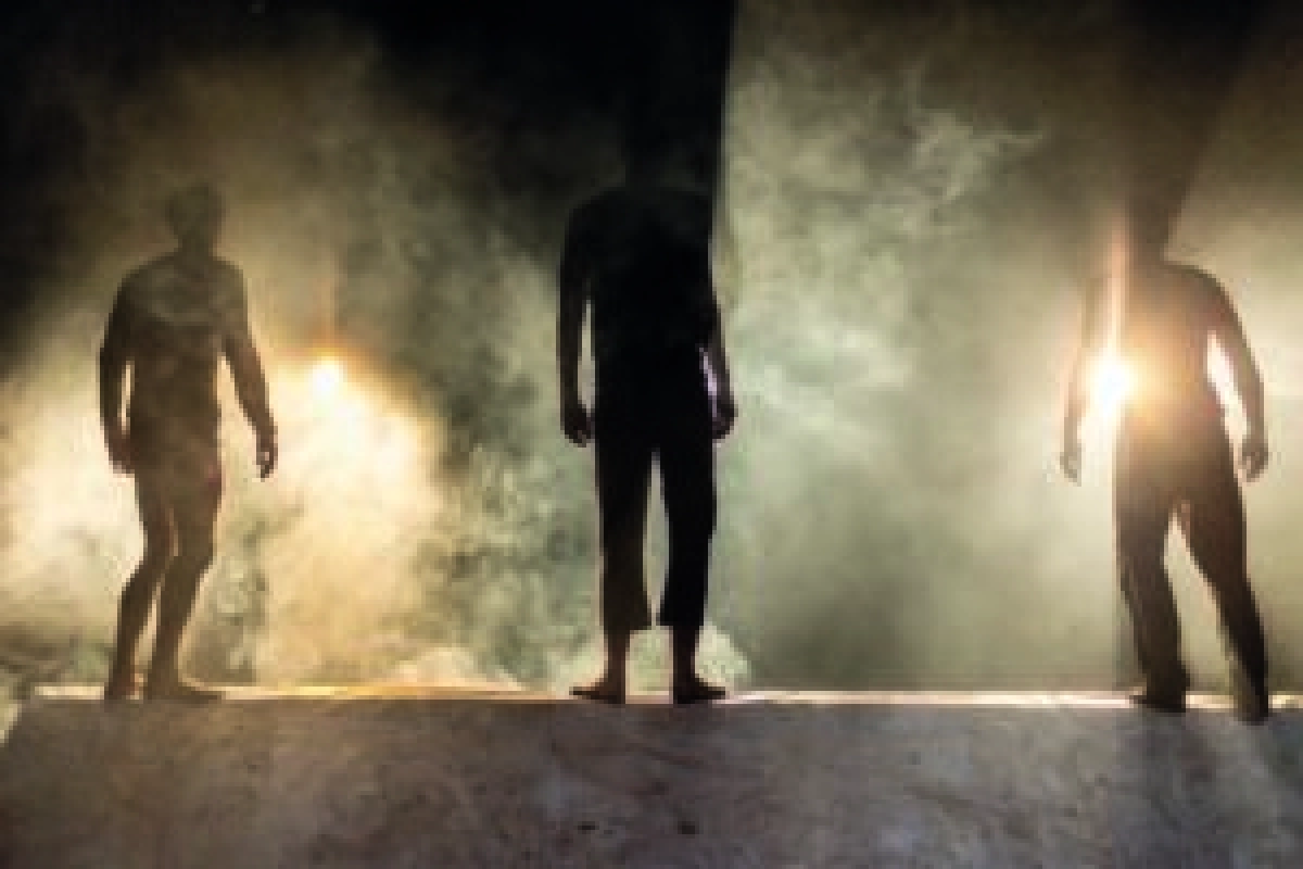 Collectief Het Paradijs